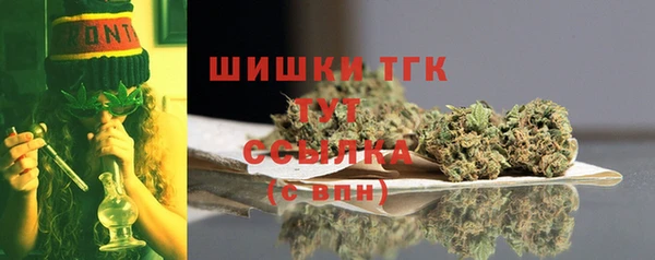 индика Беломорск