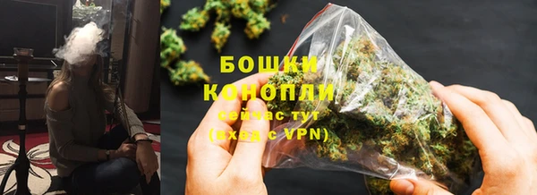 Альфа ПВП Белокуриха