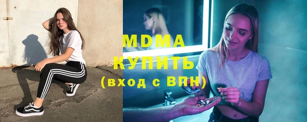 индика Беломорск