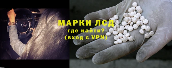 индика Беломорск