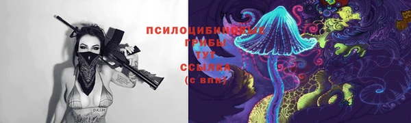 Альфа ПВП Белокуриха