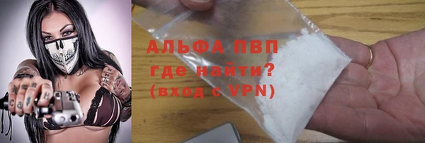 индика Беломорск
