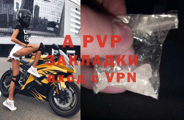 индика Беломорск