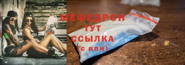 индика Беломорск