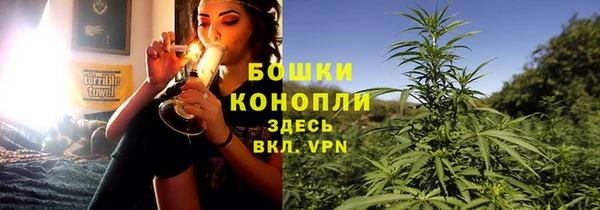 Альфа ПВП Белокуриха