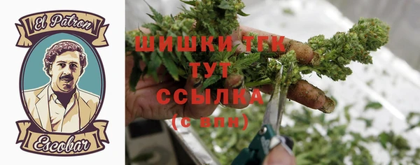индика Беломорск