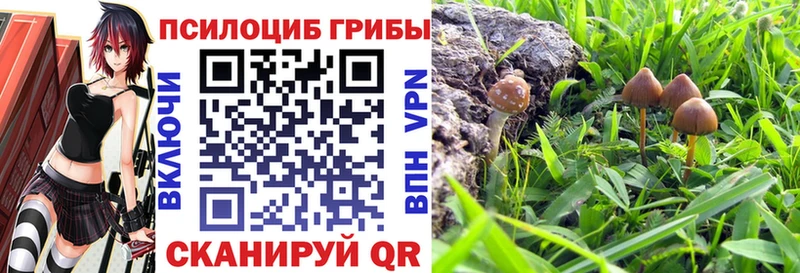 Галлюциногенные грибы мухоморы  Выкса 